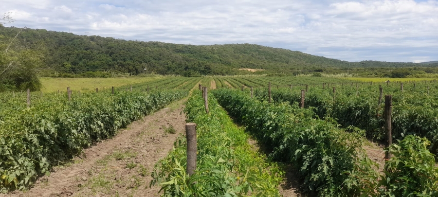 Commercial Property for Sale in Komga Rural Eastern Cape